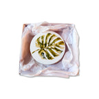 Tropical Botanicals Coaster Collection