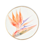 Tropical Botanicals Coaster Collection