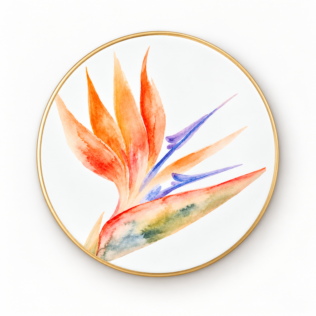 Tropical Botanicals Coaster Collection