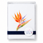 Tropical Botanicals Notecard Collection: Set of 8